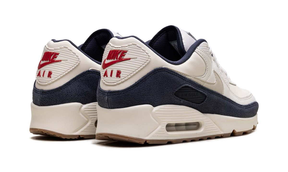 "Rare Air - Pale Ivory" Air Max 90 IH4379 110 - product image from the listing.