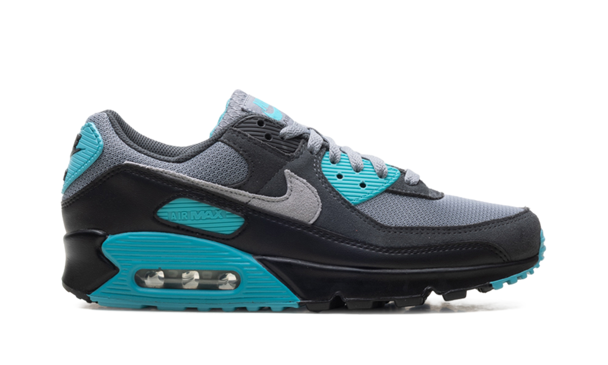 "Dusty Cactus" Air Max 90 DM0029 013 - product image from the listing.